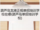 葫芦岛龙港正规单招培训学校在哪(葫芦岛单招培训学校)