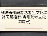 潍坊青州高考艺考生文化课补习班推荐(青州艺考文化课辅导)