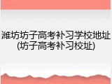 潍坊坊子高考补习学校地址(坊子高考补习校址)