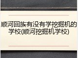 顺河回族有没有学挖掘机的学校(顺河挖掘机学校)