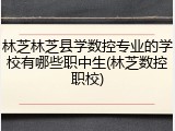 林芝林芝县学数控专业的学校有哪些职中生(林芝数控职校)