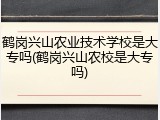 鹤岗兴山农业技术学校是大专吗(鹤岗兴山农校是大专吗)