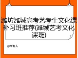 潍坊潍城高考艺考生文化课补习班推荐(潍城艺考文化课班)