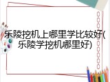 乐陵挖机上哪里学比较好(乐陵学挖机哪里好)