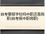自考要报学校吗中职还是高职(自考报中职高职)