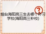 烟台海阳高三生去哪个补习学校(海阳高三补校)