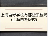 上海自考学校有那些职校吗(上海自考职校)