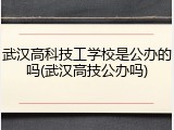 武汉高科技工学校是公办的吗(武汉高技公办吗)