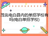 茂名电白县内的单招学校有吗(电白单招学校)