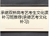 承德双桥高考艺考生文化课补习班推荐(承德艺考文化补习)