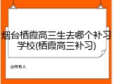 烟台栖霞高三生去哪个补习学校(栖霞高三补习)