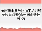 宿州砀山县数控加工培训班技校有哪些(宿州砀山数控技校)