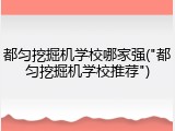 都匀挖掘机学校哪家强("都匀挖掘机学校推荐")
