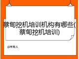 蔡甸挖机培训机构有哪些(蔡甸挖机培训)