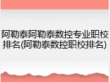 阿勒泰阿勒泰数控专业职校排名(阿勒泰数控职校排名)