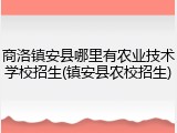 商洛镇安县哪里有农业技术学校招生(镇安县农校招生)