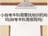 小自考本科需要找培训机构吗(自考本科需报班吗)