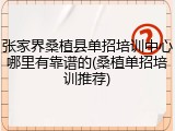 张家界桑植县单招培训中心哪里有靠谱的(桑植单招培训推荐)
