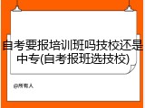自考要报培训班吗技校还是中专(自考报班选技校)