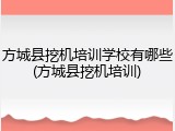 方城县挖机培训学校有哪些(方城县挖机培训)