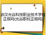 武汉光谷科技职业技术学校正规吗(光谷职校正规吗)