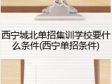 西宁城北单招集训学校要什么条件(西宁单招条件)