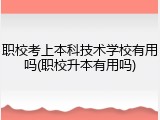 职校考上本科技术学校有用吗(职校升本有用吗)