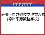 德州平原县数控学校有没有(德州平原数控学校)