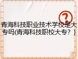 青海科技职业技术学校是大专吗(青海科技职校大专？)
