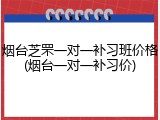 烟台芝罘一对一补习班价格(烟台一对一补习价)