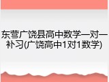东营广饶县高中数学一对一补习(广饶高中1对1数学)