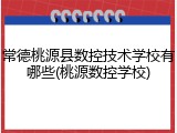 常德桃源县数控技术学校有哪些(桃源数控学校)