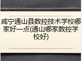 咸宁通山县数控技术学校哪家好一点(通山哪家数控学校好)