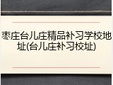 枣庄台儿庄精品补习学校地址(台儿庄补习校址)