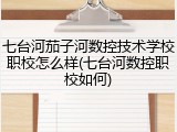 七台河茄子河数控技术学校职校怎么样(七台河数控职校如何)