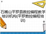 石嘴山平罗县数控编程教学培训机构(平罗数控编程培训)