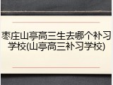 枣庄山亭高三生去哪个补习学校(山亭高三补习学校)
