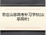 枣庄山亭高考补习学校(山亭高补)