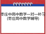 枣庄中高中数学一对一补习(枣庄高中数学辅导)