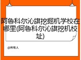 阿鲁科尔沁旗挖掘机学校在哪里(阿鲁科尔沁旗挖机校址)