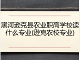 黑河逊克县农业职高学校读什么专业(逊克农校专业)