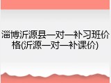 淄博沂源县一对一补习班价格(沂源一对一补课价)
