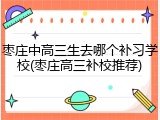 枣庄中高三生去哪个补习学校(枣庄高三补校推荐)