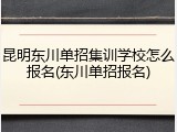 昆明东川单招集训学校怎么报名(东川单招报名)