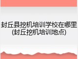 封丘县挖机培训学校在哪里(封丘挖机培训地点)