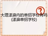 大理漾濞内的单招学校有吗(漾濞单招学校)