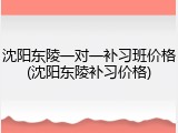 沈阳东陵一对一补习班价格(沈阳东陵补习价格)