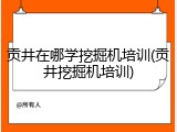 贡井在哪学挖掘机培训(贡井挖掘机培训)