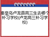 秦皇岛卢龙县高三生去哪个补习学校(卢龙高三补习学校)
