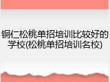 铜仁松桃单招培训比较好的学校(松桃单招培训名校)